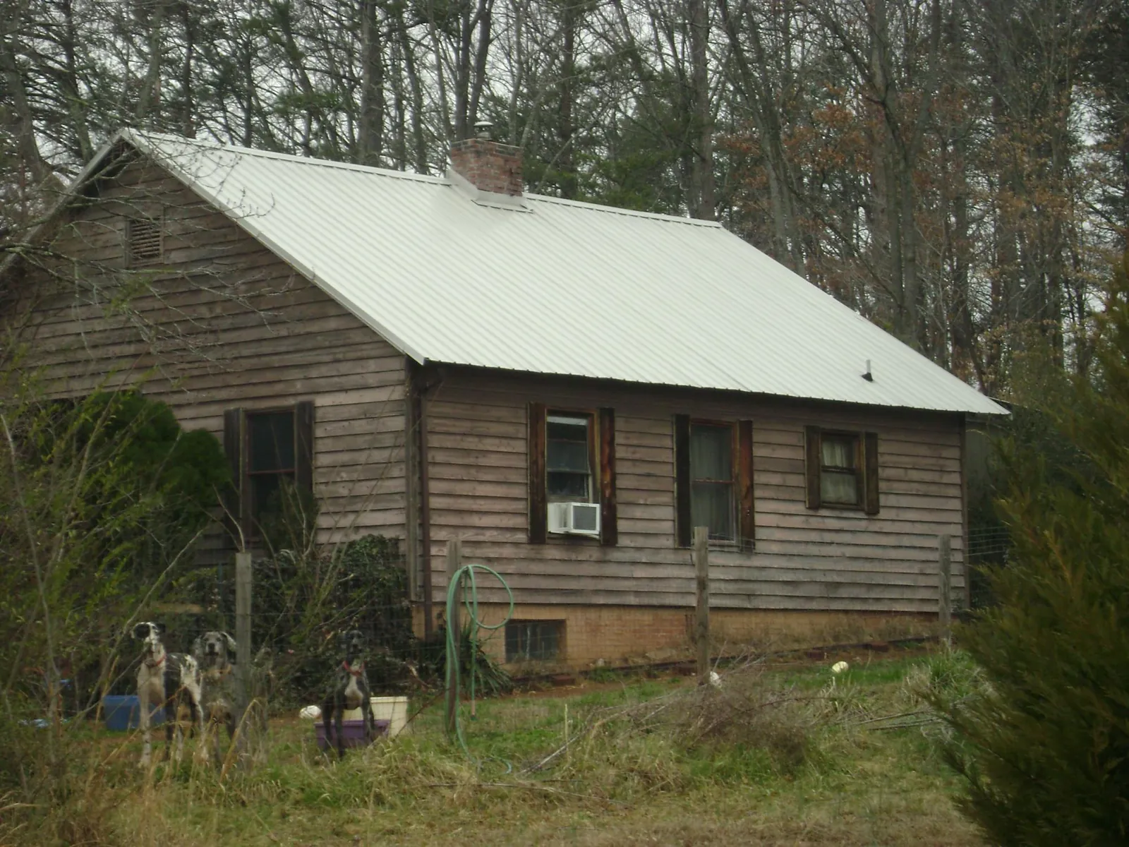 White metal roof on an old wood sided farmhouse, from a Metal Roof Installation job in West Barnstable